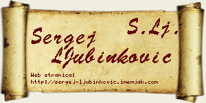 Sergej LJubinković vizit kartica